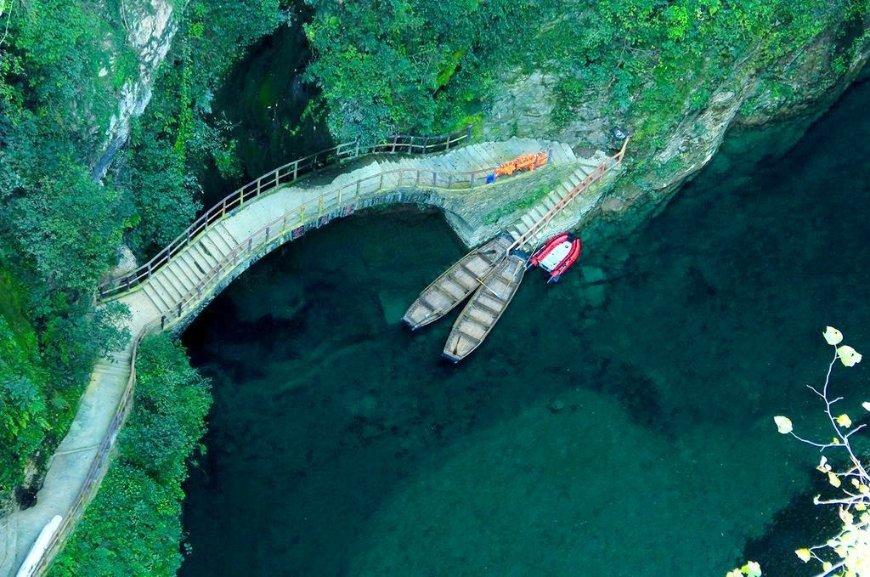 救援蝙蝠